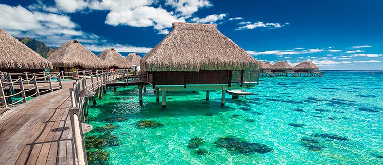 What to see in French Polynesia Moorea