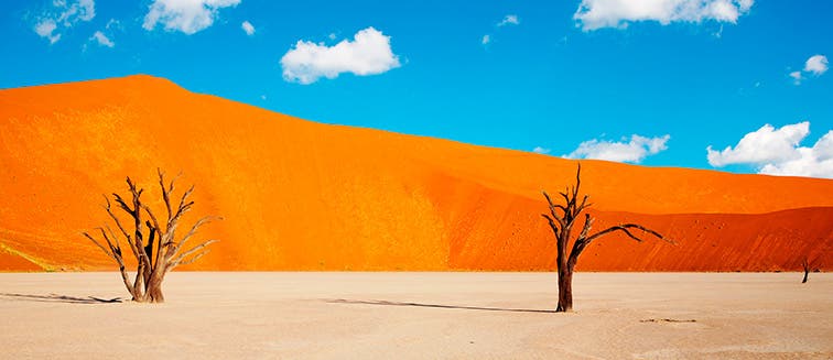 What to see in Namibie Le désert du Namib