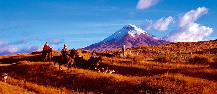 Sehenswertes in Ecuador Nationalpark Cotopaxi