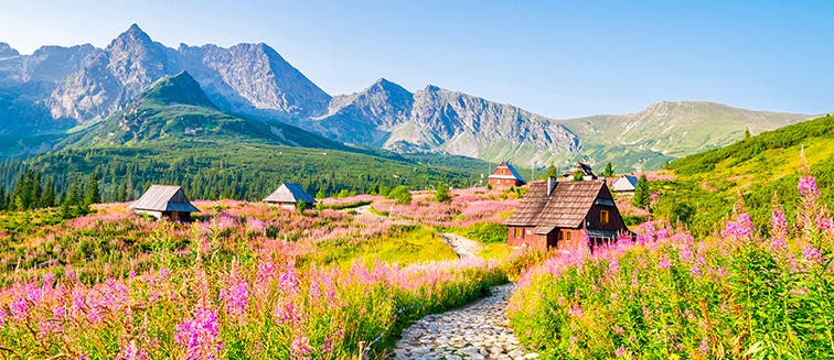 Sehenswertes in Polen Tatra-Nationalpark 