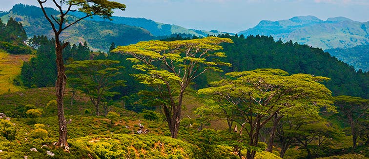 What to see in Sri Lanka Nuwara Eliya