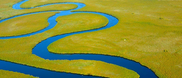 What to see in Botswana Okavango Delta