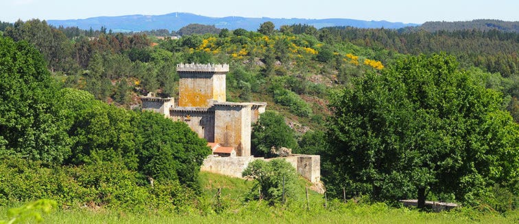 What to see in Spain Palas de Rei