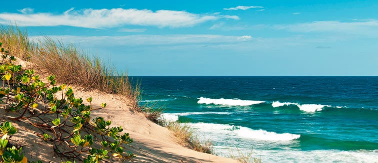 What to see in Mozambique Plage de Tofo