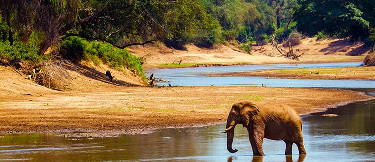 Qué ver en Sudáfrica PN Kruger