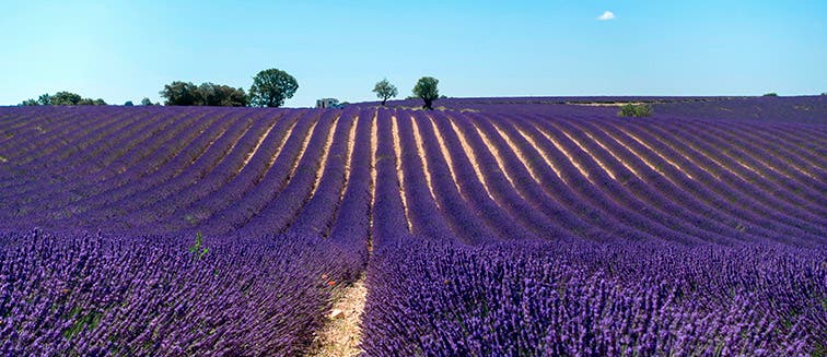 LIEUX D'INTéRêT