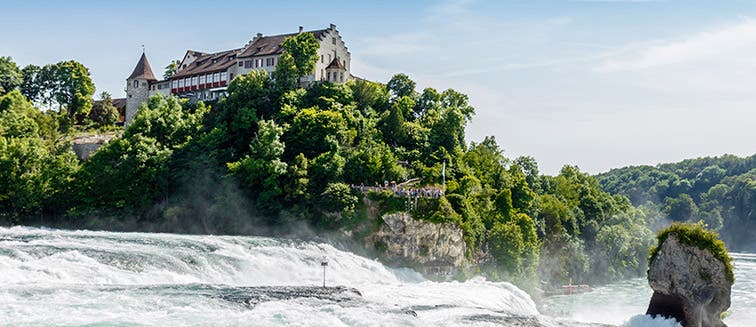 What to see in Switzerland Rhine Falls