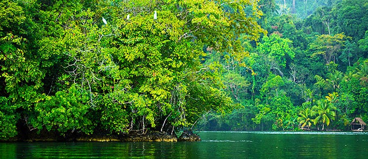 Sehenswertes in Guatemala Río Dulce