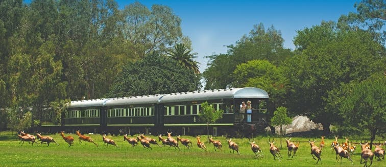 Qué ver en Sudáfrica Rovos Rail