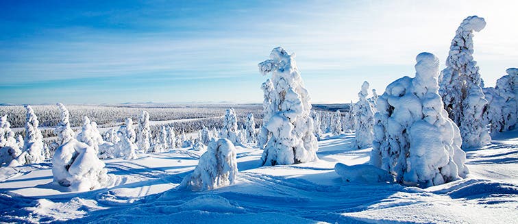 What to see in Finland Salla