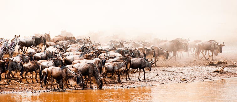 Sehenswertes in Tansania Serengeti-Nationalpark