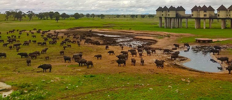 Sehenswertes in Kenia  Taita Hills Wildlife Sanctuary