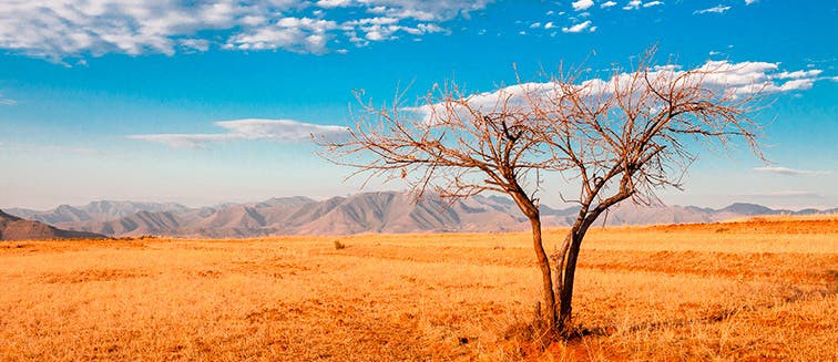 What to see in Kenya Tsavo West National Park