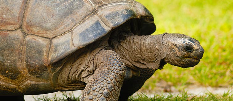 Sehenswertes in Seychellen Victoria