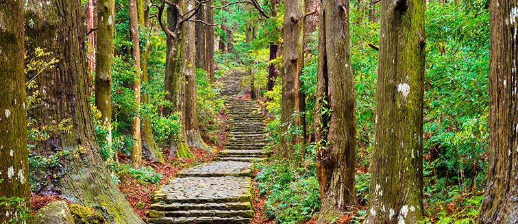 Sehenswertes in Japan Weg von Kumano