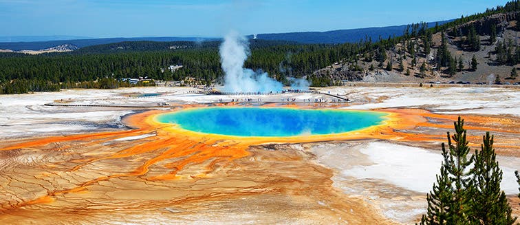 What to see in United States Yellowstone National Park