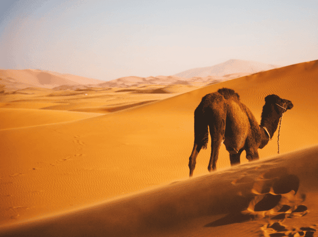 Morocco