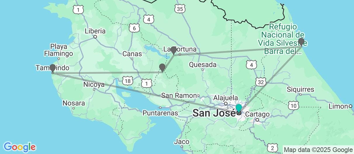 Map of Magical Night of the Sea Turtles