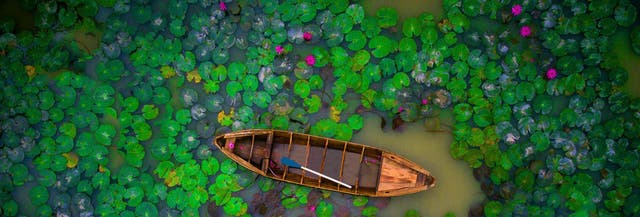 Me gustó mucho la atención y el servicio de Exoticca. 