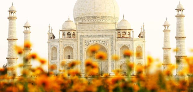 We thoroughly enjoyed our trip.